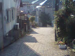 散歩