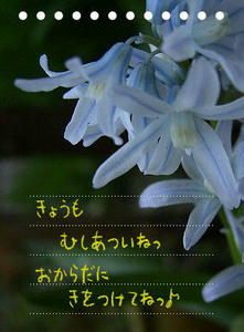20090719d.jpg