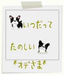 20090731.gif