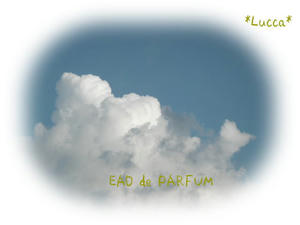 20090802a.jpg
