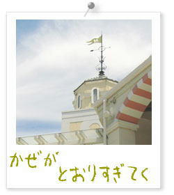 20090813c.jpg