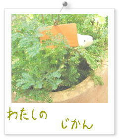 20090817b.jpg
