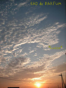 20090822e.jpg