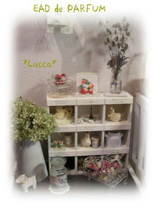 20090901a.jpg