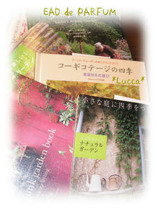 20090905.jpg