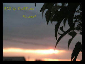 20090909a.jpg