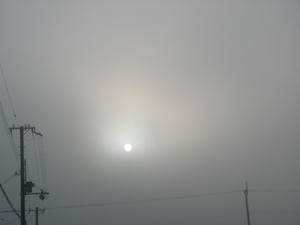 PICT2752.JPG