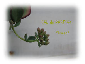 20090923a.jpg