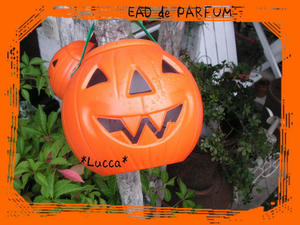 20090928a.jpg