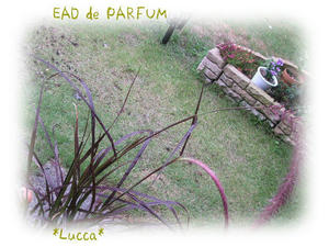 20090929.jpg