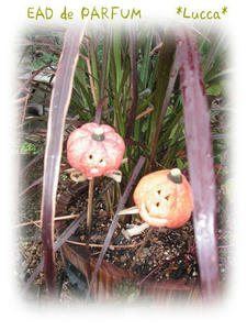 20090929a.jpg