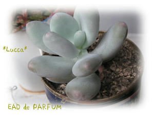 20091015a.jpg