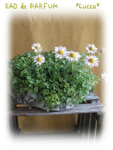 20091017.jpg