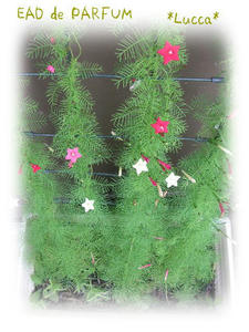 20091021.jpg