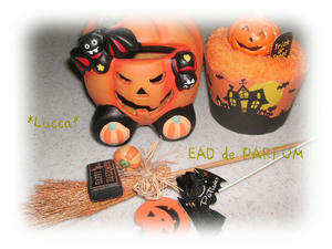 20091030a.jpg