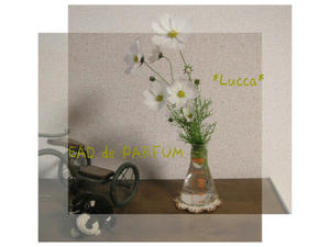 20091031b.jpg