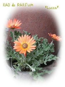 20091102.jpg