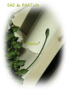 20091103d.jpg
