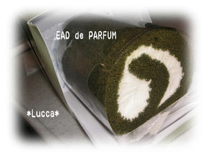 20091117a.jpg
