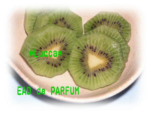 20091121a.jpg