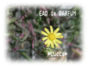 20091123d.jpg