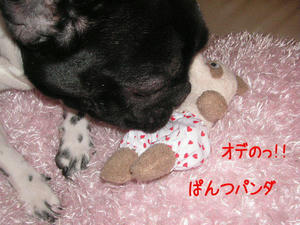 20091127g.jpg