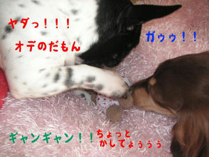 20091127h.jpg