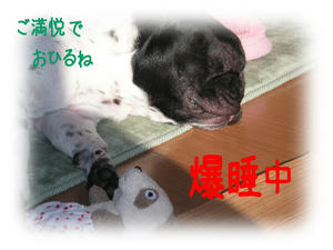 20091127i.jpg