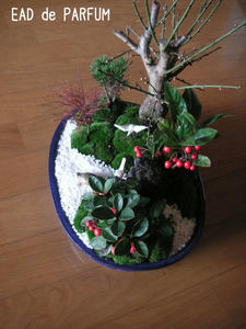20091216.jpg