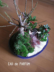 20091215b.jpg