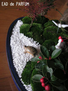 20091215a.jpg