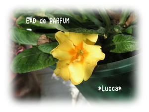 20091229e.jpg