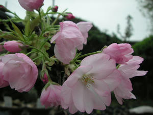 PICT1328.JPG
