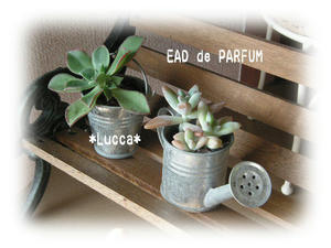 20100111.jpg