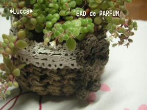 20100112.jpg