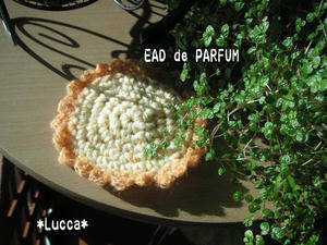 20100114b.jpg