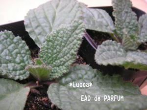 20100123.jpg