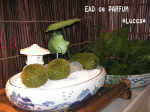 20100123a.jpg