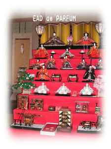 20100129c.jpg