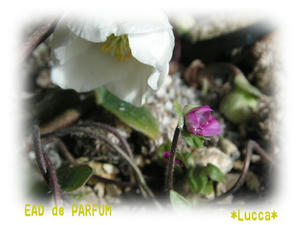 20100214d.jpg