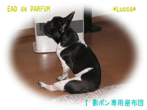 20100214.jpg
