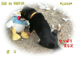 20100214a.jpg