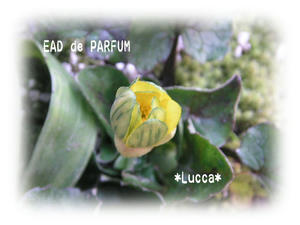 20100218a.jpg