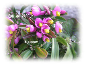 20100218b.jpg