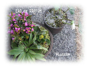 20100218.jpg