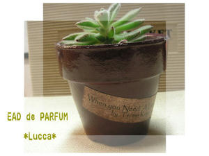 20100219.jpg