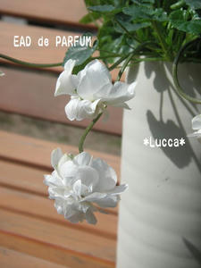 20100220.jpg