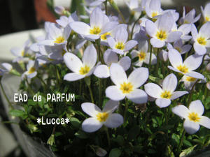 20100220b.jpg