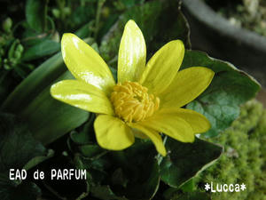 20100220c.jpg