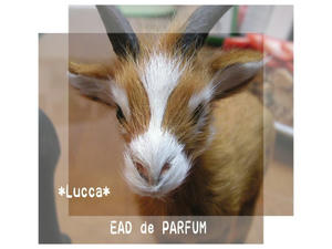 20100223a.jpg